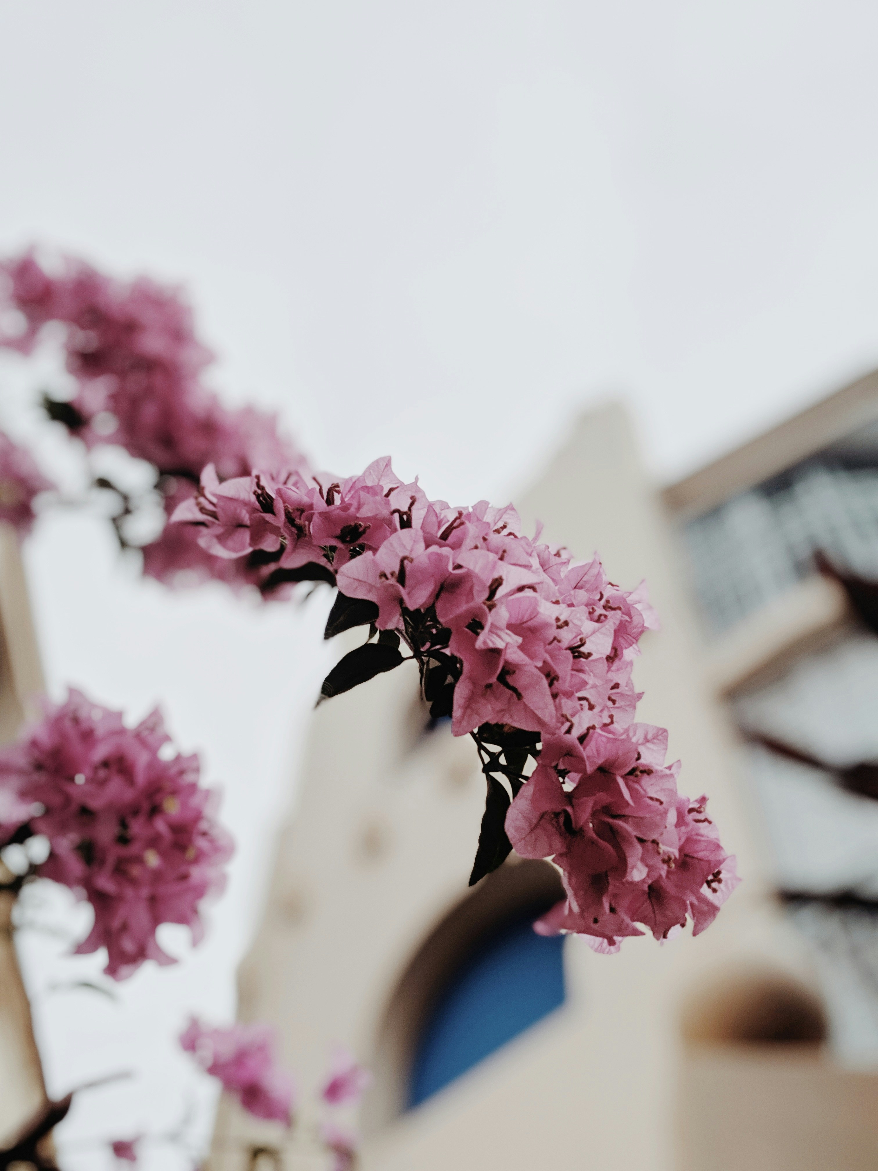 Photo by valeriiamiller