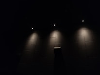 Close-up of textured wall panels and elegant lighting highlighting spatial details.