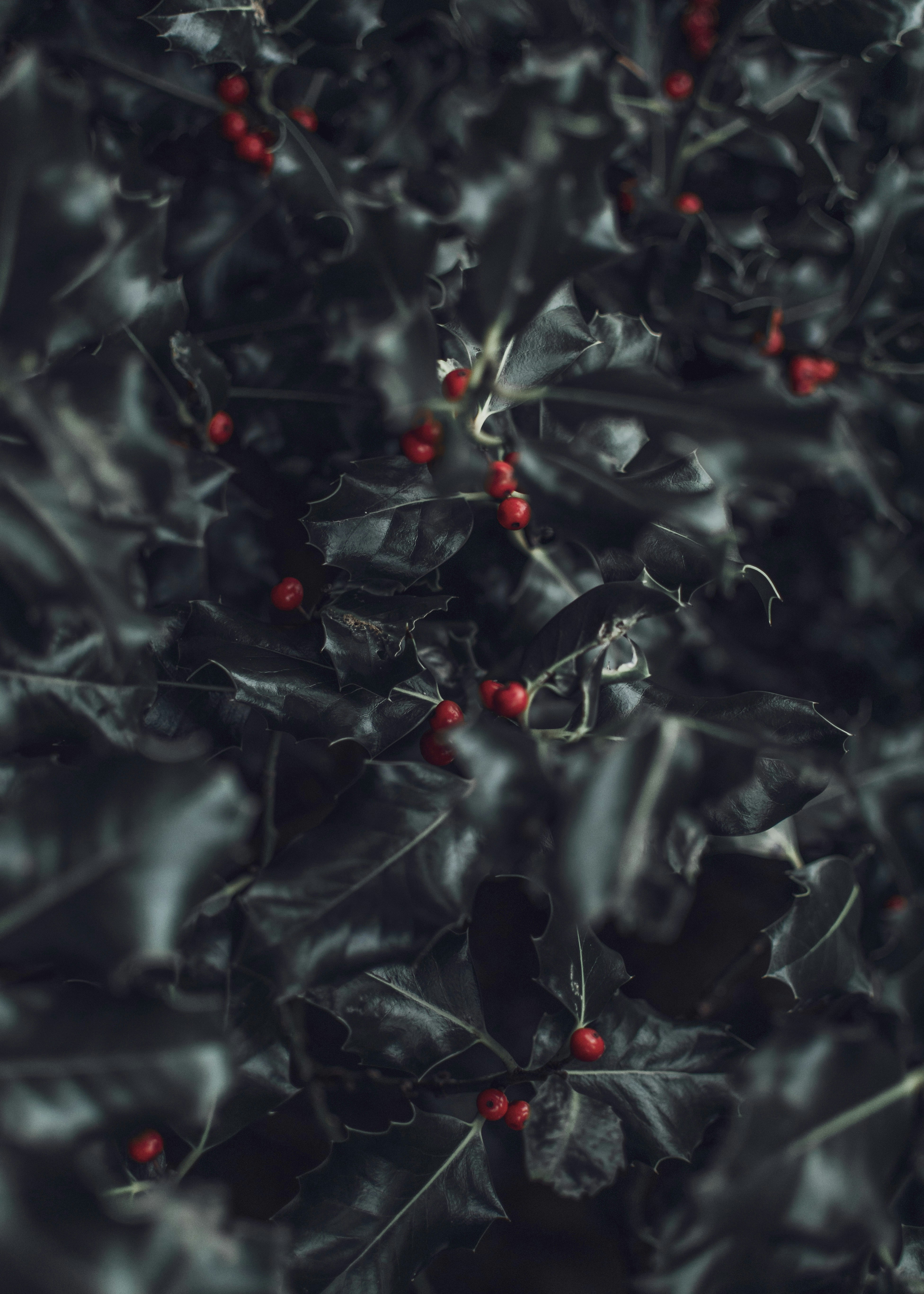Photo by alienaperture