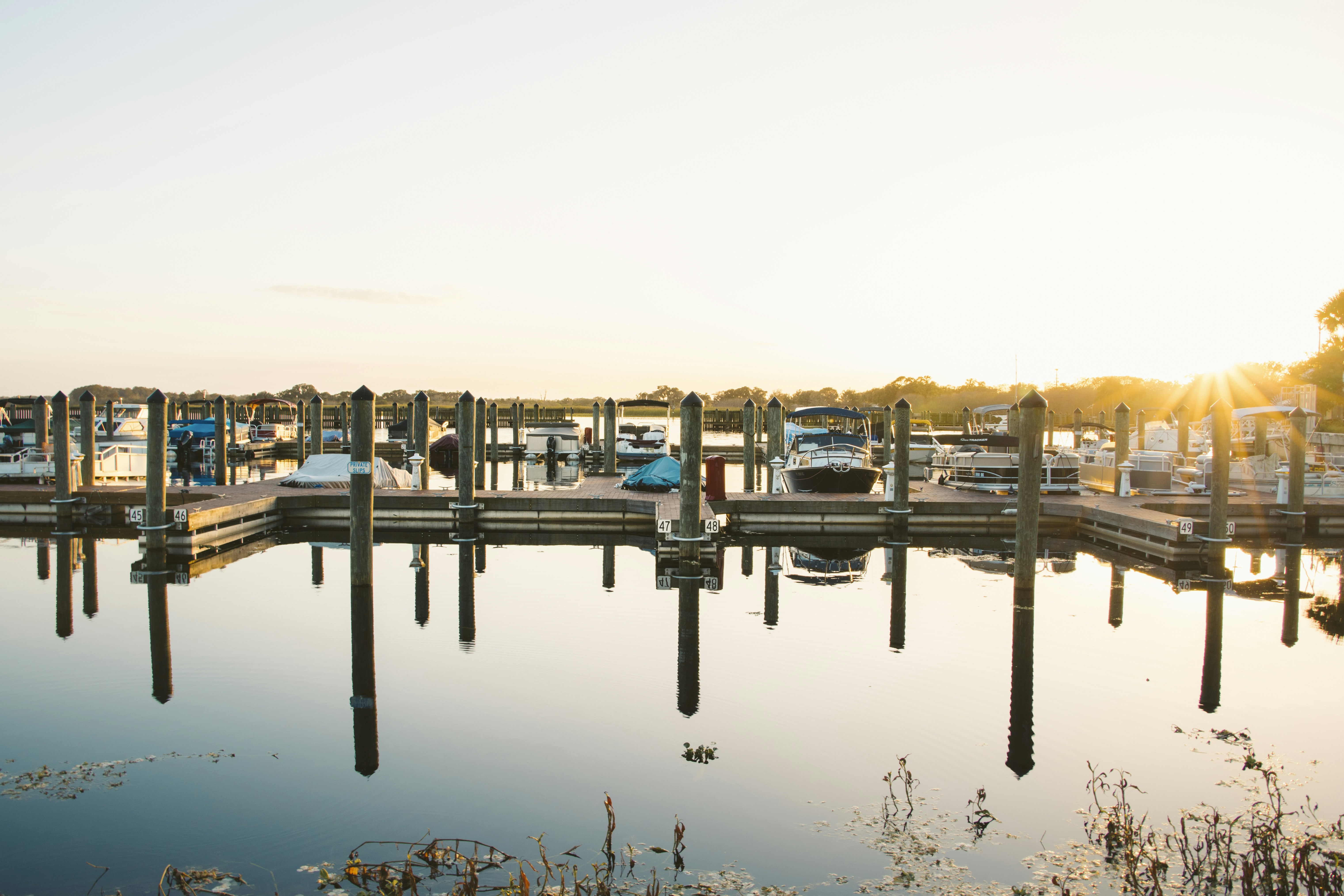 Photo by jphotomedia