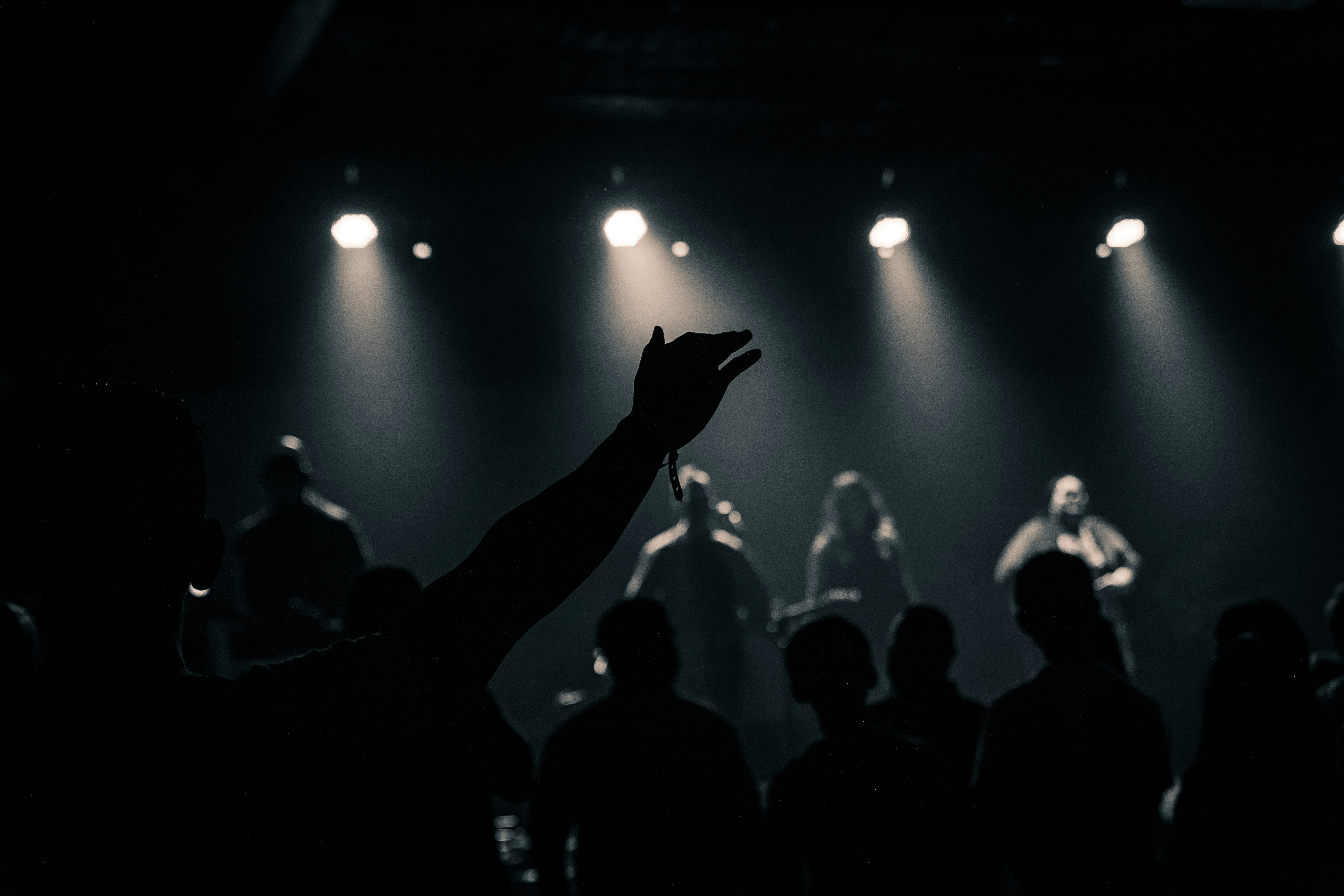 silhouette of people