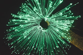 Radiating fibers illuminate in bright green, resembling an explosive burst of light against a dark background.