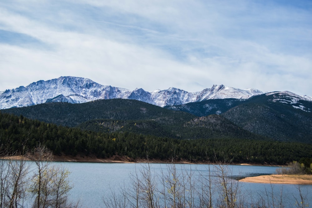 lake with trees on sides