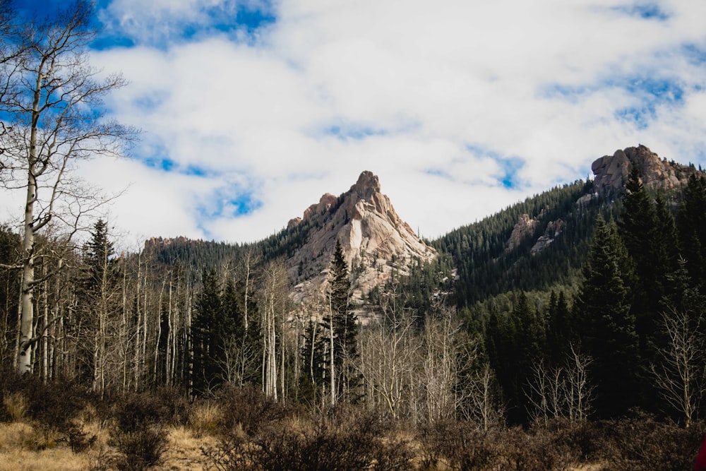 landscape photography of mountain