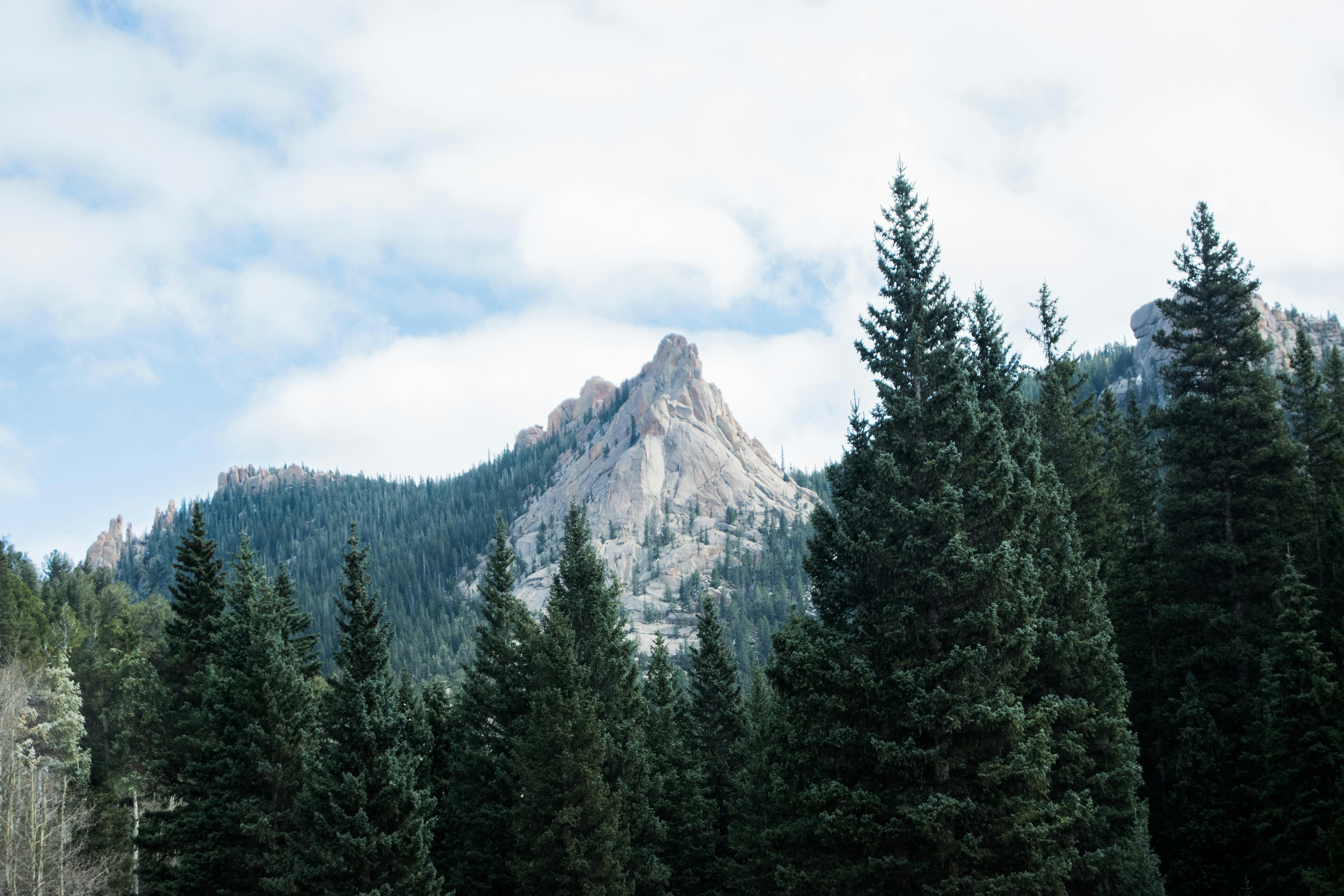 A snow-capped mountain peak rises above a thick blanket of evergreen trees.