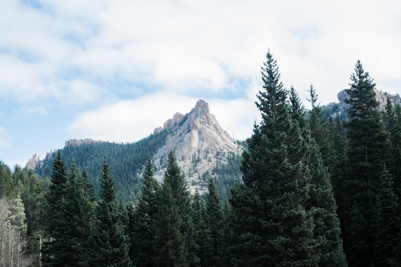 A snow-capped mountain peak rises above a thick blanket of evergreen trees.