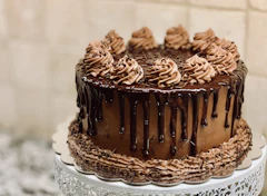 Chocolate Fudge Slice