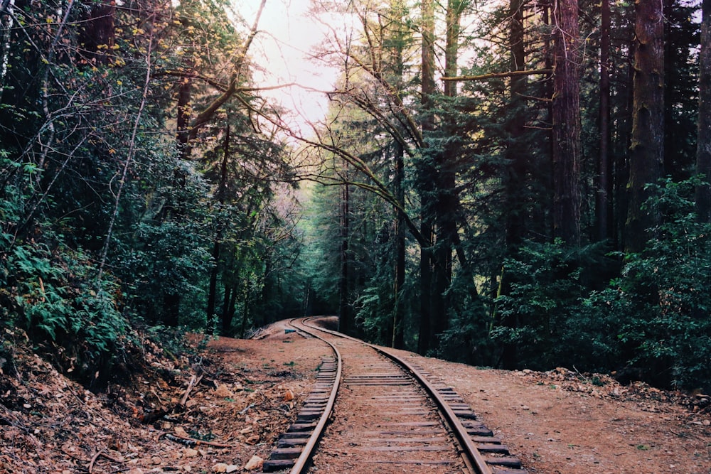 Empty railway