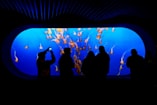 five people standing near aquarium
