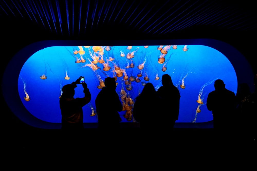 five people standing near aquarium