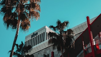 A modern building with a distinctive sbe logo on the upper section is surrounded by tall palm trees. The architectural design features sleek lines and a combination of white and gray tones with red accents. A clear blue sky provides a contrasting background.