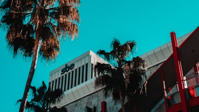 trees beside sbe building palm-tree google meet background