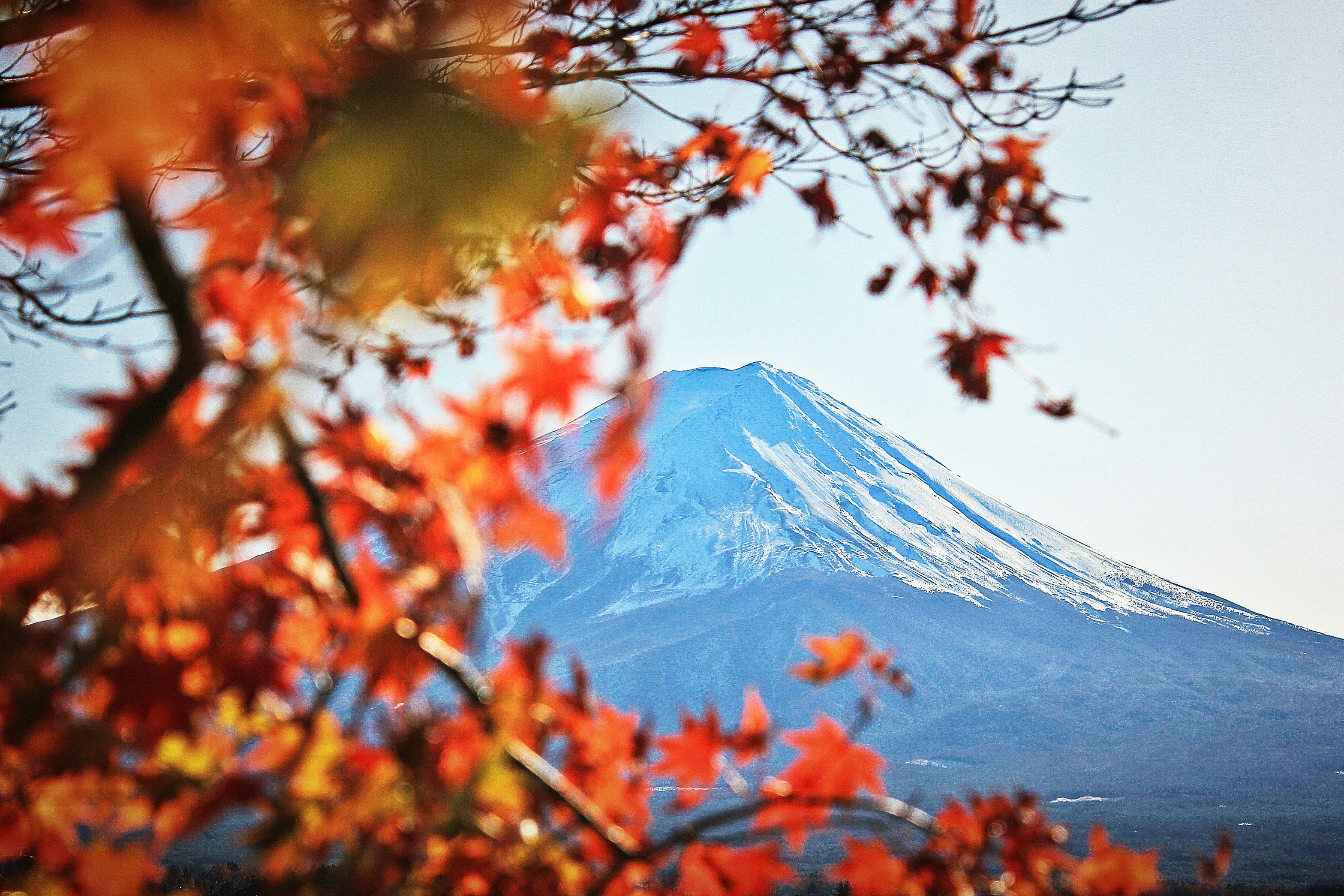 Mount Fuji