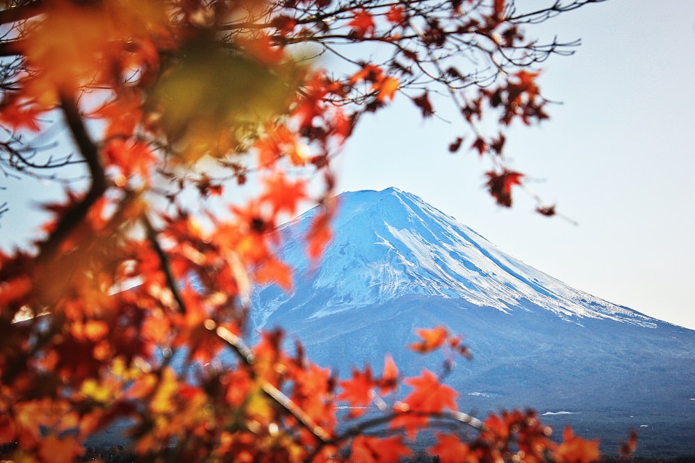 mountain ranges