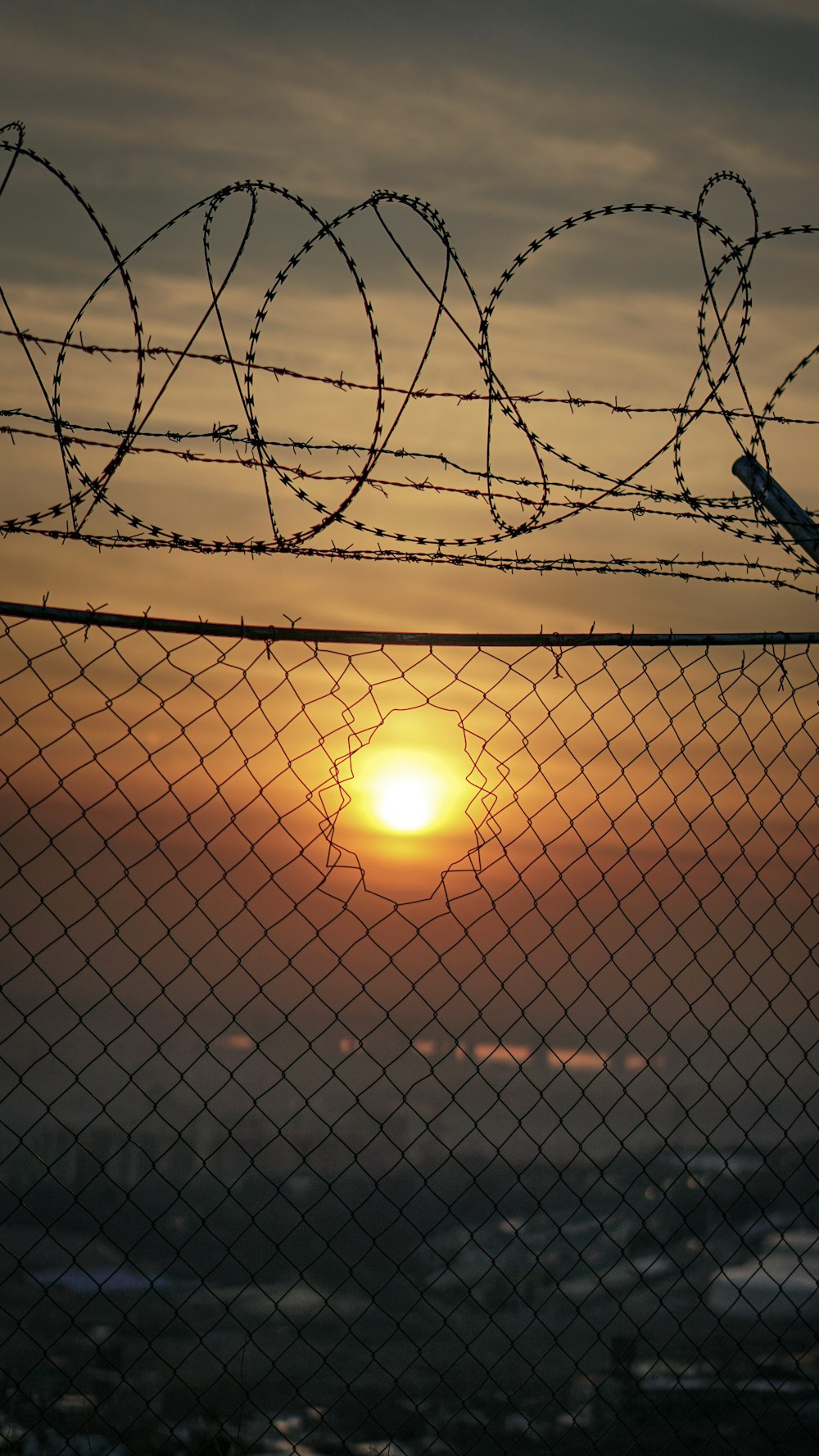 fence with barb wire