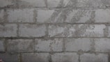 Close-up of bricks and mortar being applied.