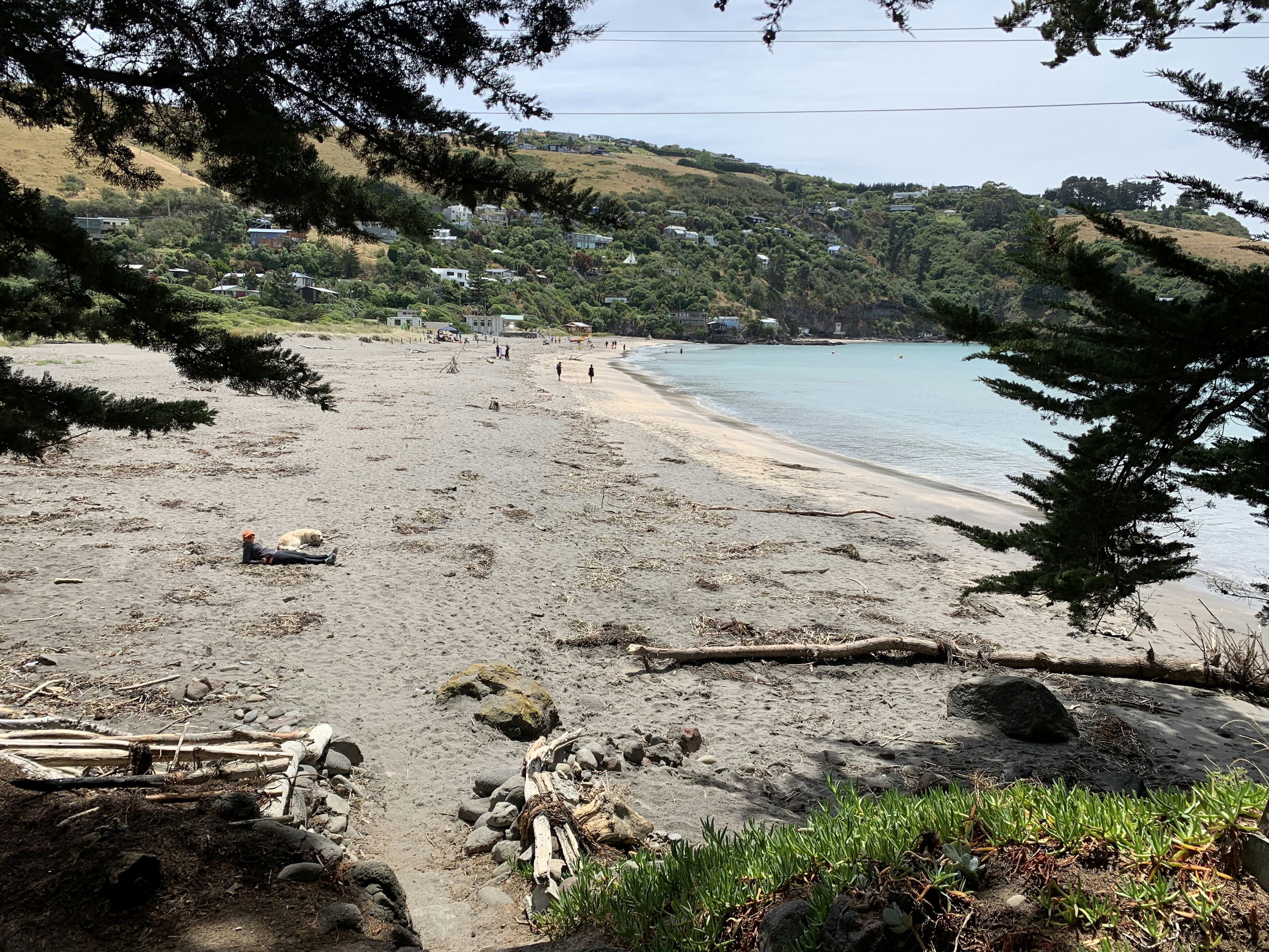 people on shore