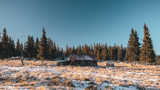 Cindrel Mountains things to do in Sibiu