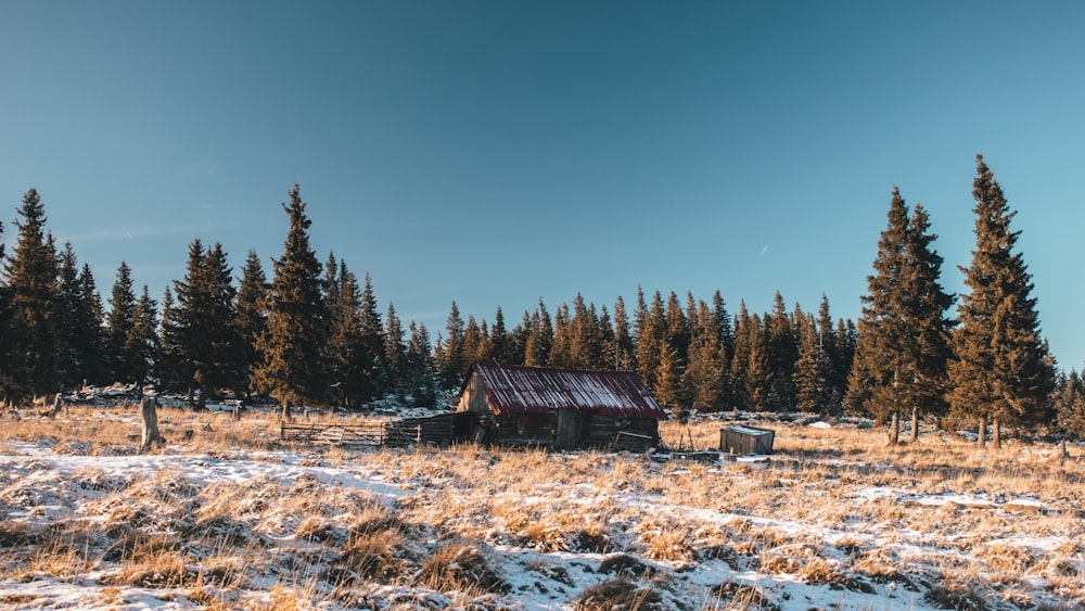 brown and gray house