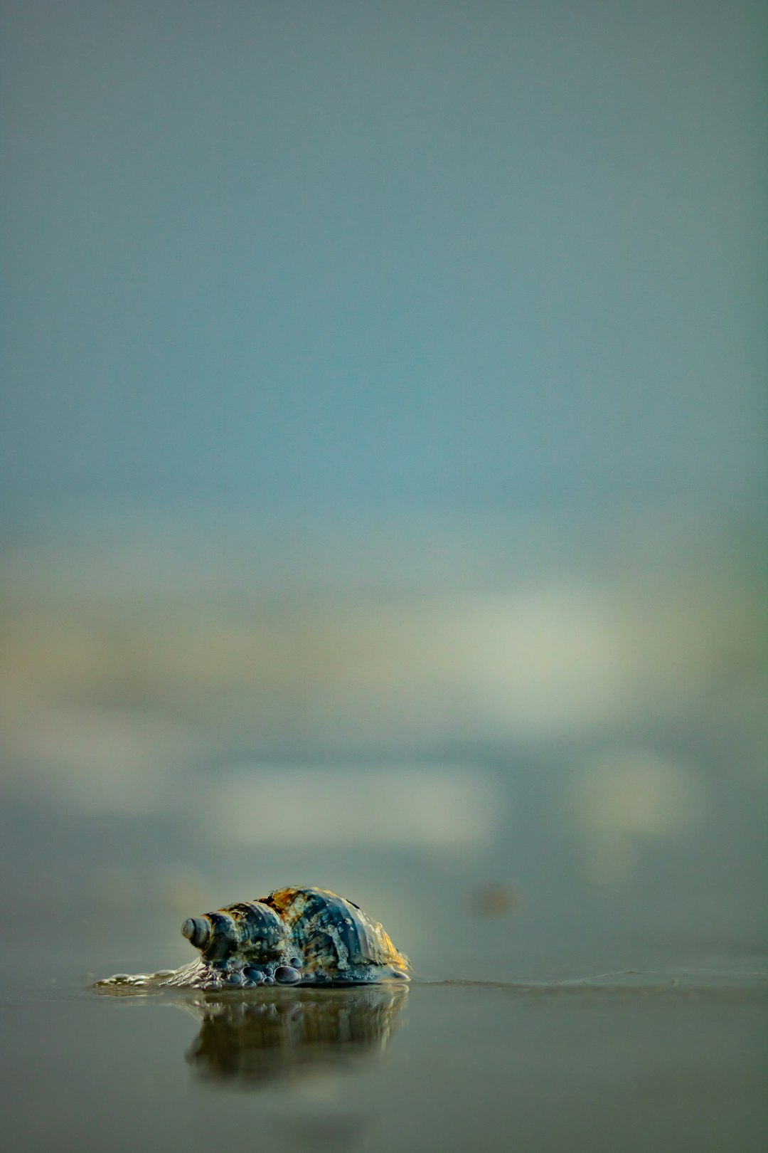 selective focus photography of body of water during daytime