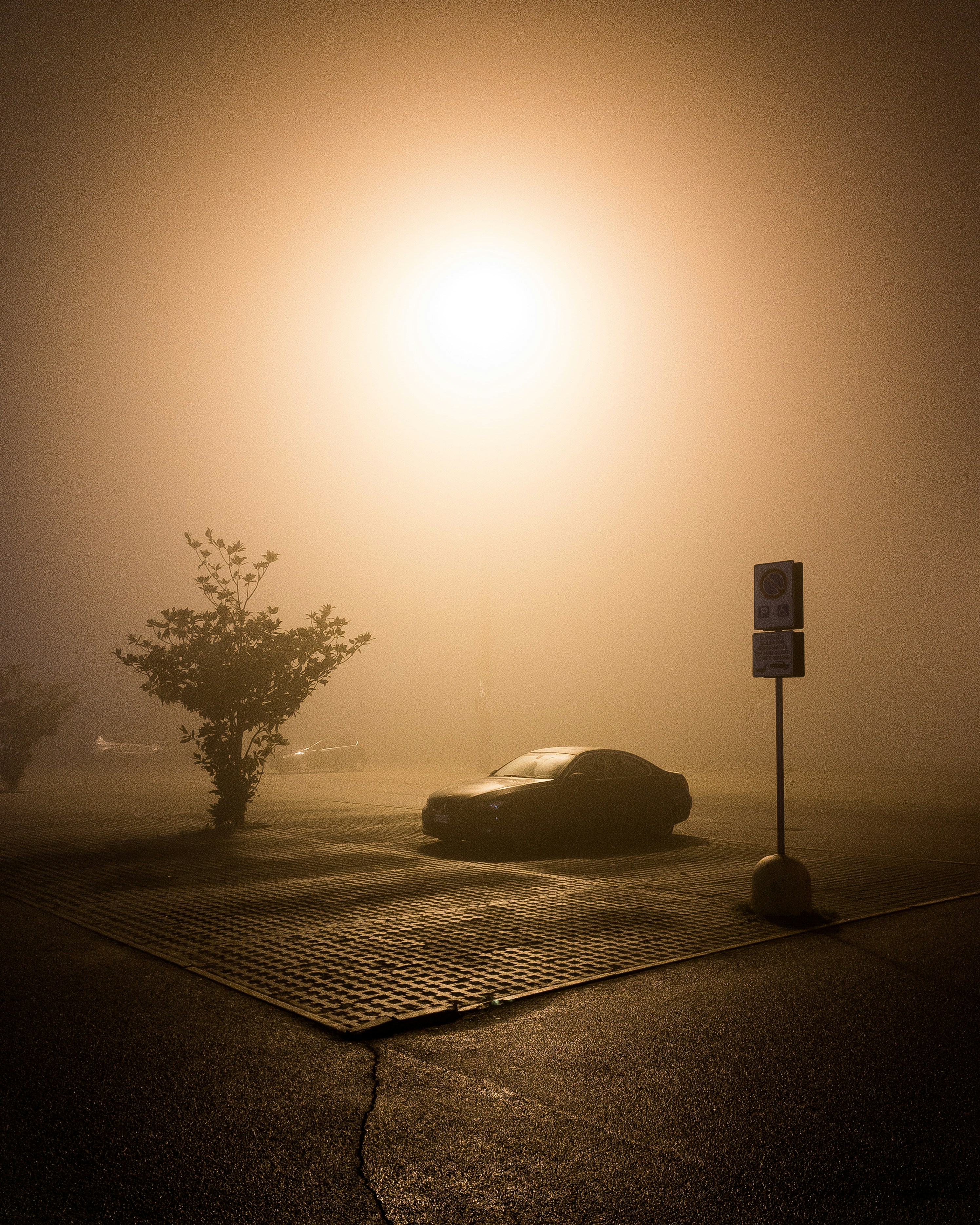black car parked beside tree