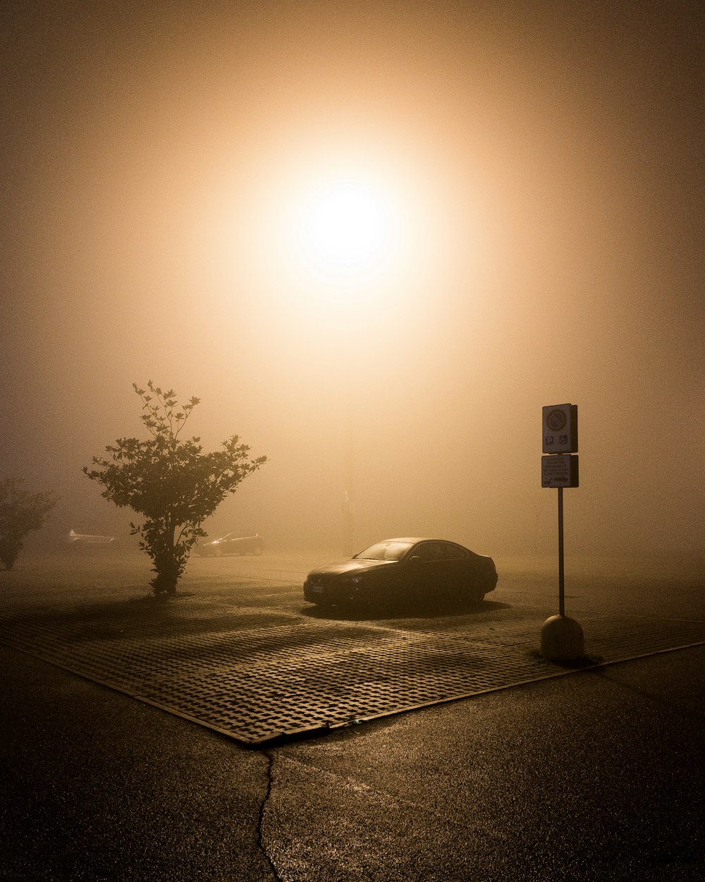 black car parked beside tree