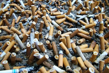 cigarette butts