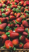 A pile of fresh, ripe strawberries with vibrant red hues and green leafy tops, arranged in a close-up view. The strawberries fill the entire frame, showcasing their natural textures and seeds.