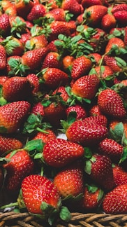 Close-up of ripe, juicy Huelva strawberries freshly picked in the Guadalhorce valley.