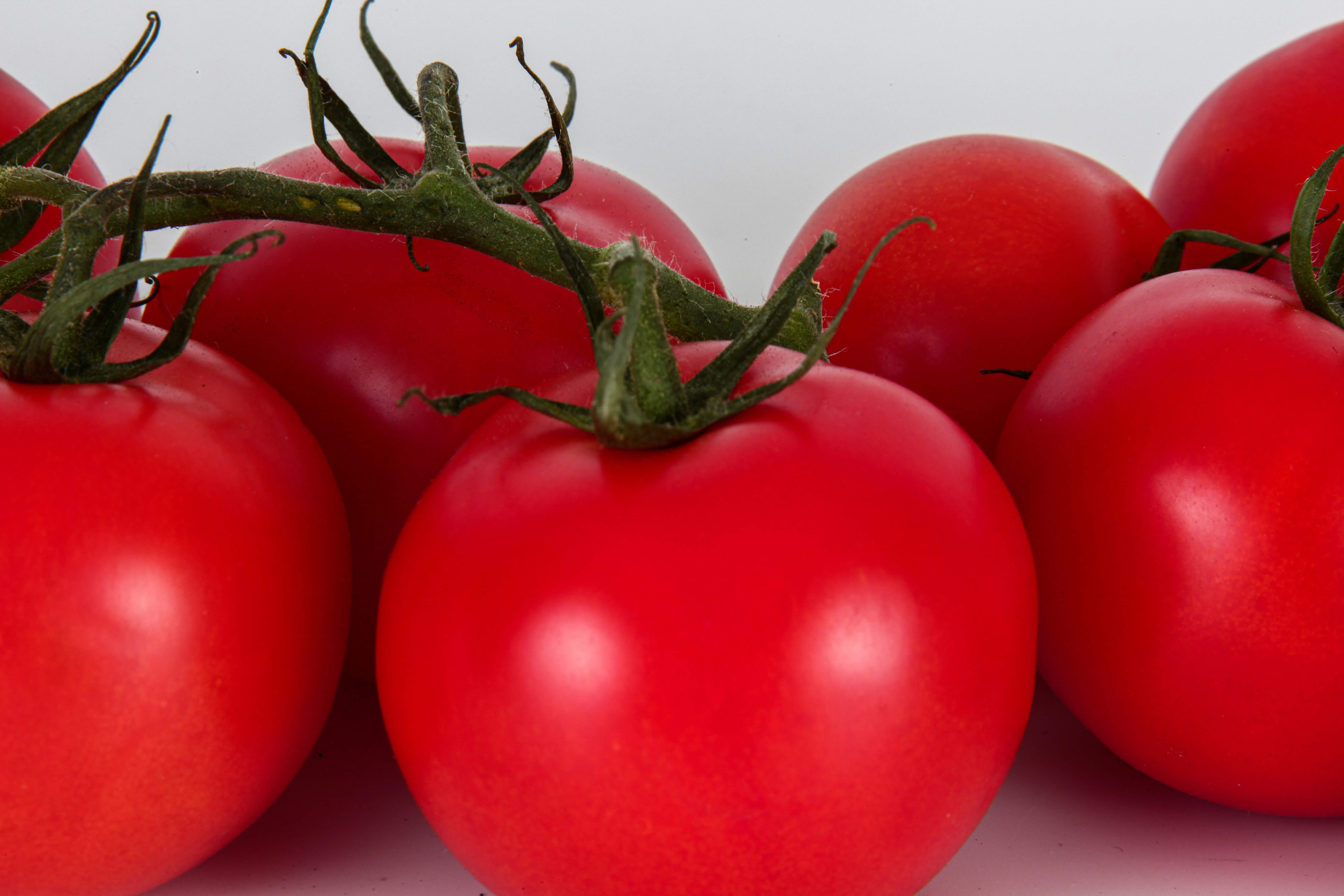 Frische Tomaten aus Rumänien