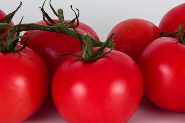 Close-up of ripe produce ready for sale, highlighting farm productivity and care.