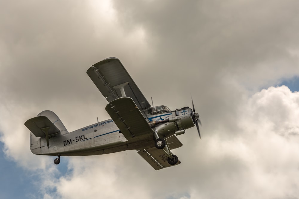 gray biplane