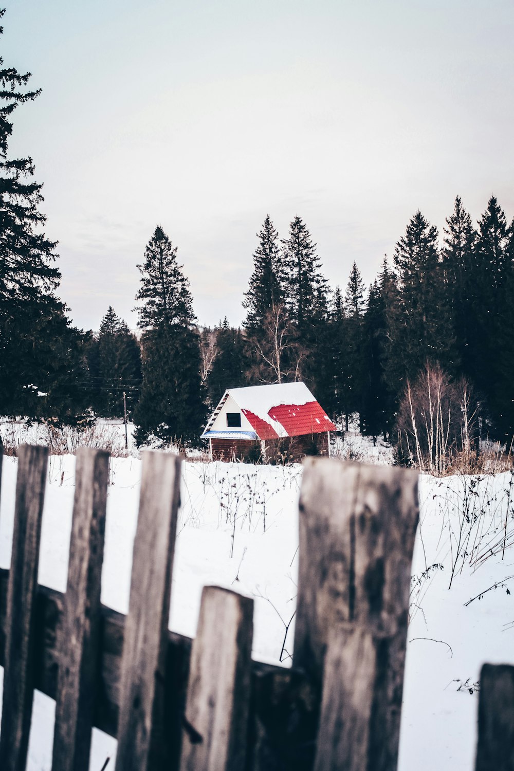 white and brown house beside trees