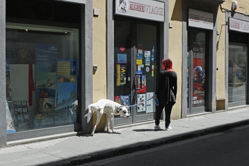 person walking together with white and black dog