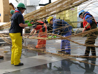 people working on brown rope