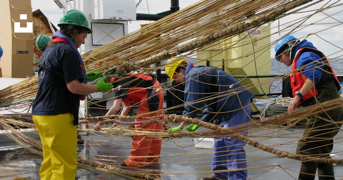 Work On Rope People working on brown rope photo – Free Researchers Image on Unsplash