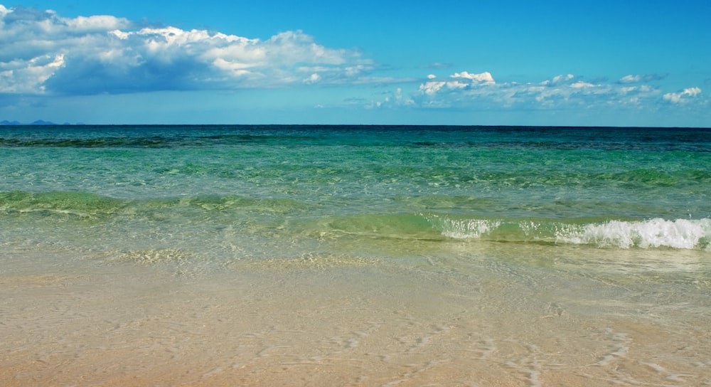 waves crashing on seashore during daytime