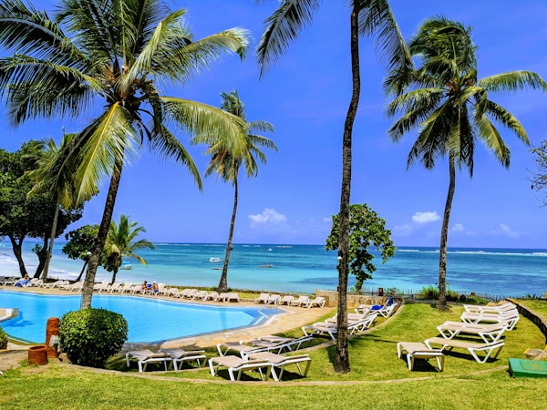 Sunny day sky view with palms at resortby Oluwatobi Akindunjoye