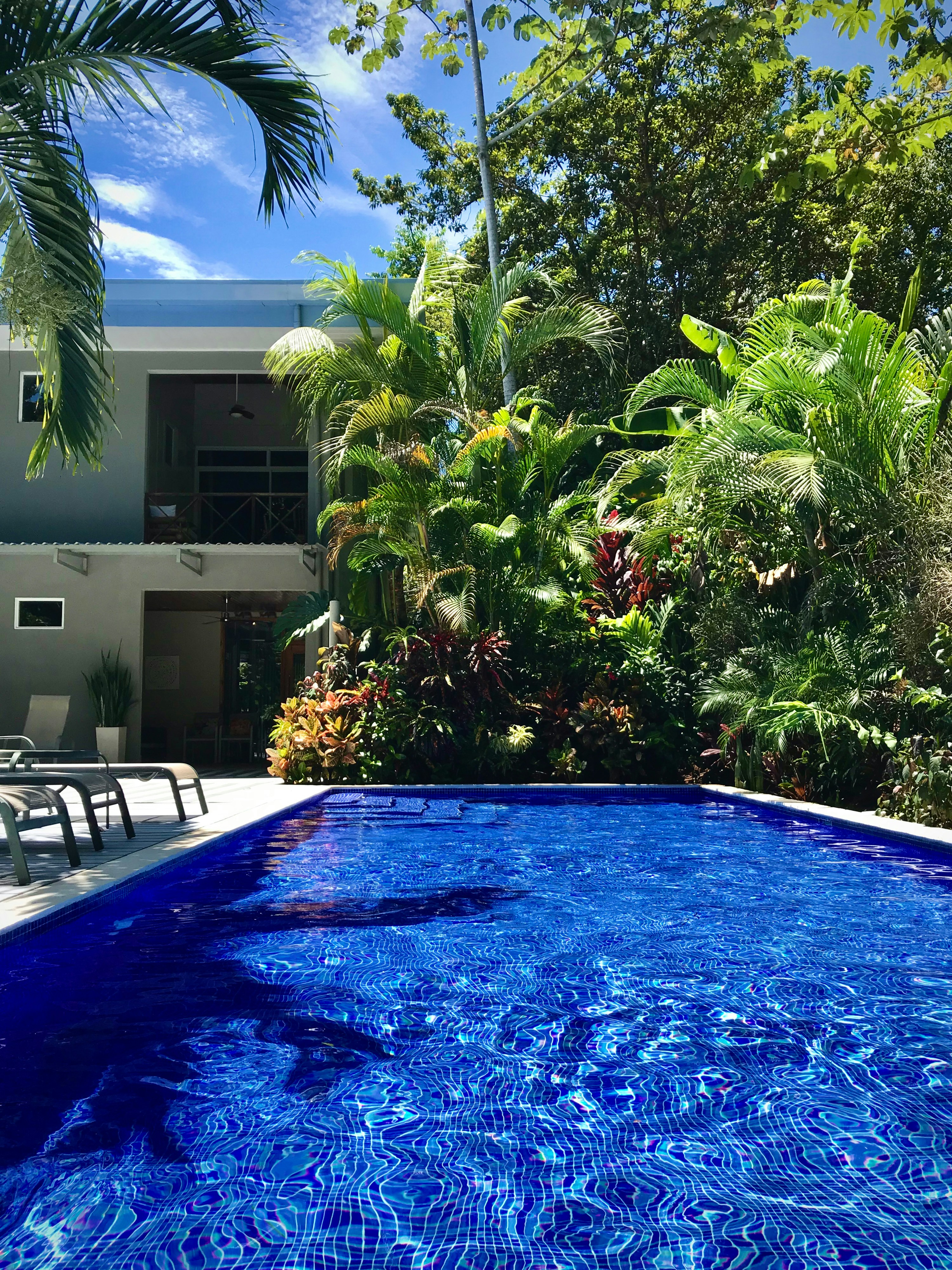 Book Your Stay