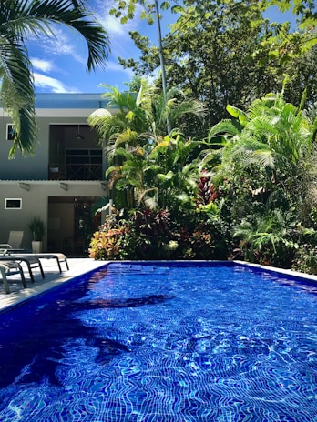 A tranquil swimming pool surrounded by lush, tropical foliage, with lounge chairs positioned on the pool deck. A modern house with a balcony is partially visible behind the dense greenery. The bright blue water reflects the clear sky and palm leaves.
