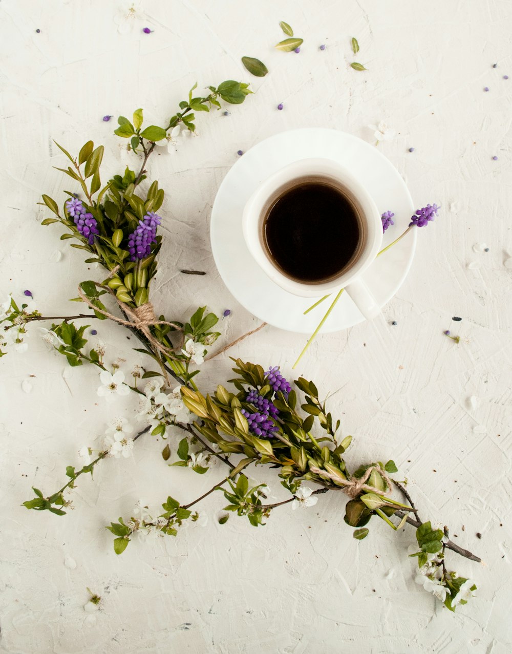 purple petaled flowers beside white toilet paper