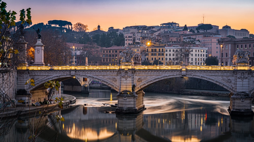 architectural photography of gray concrete bridge