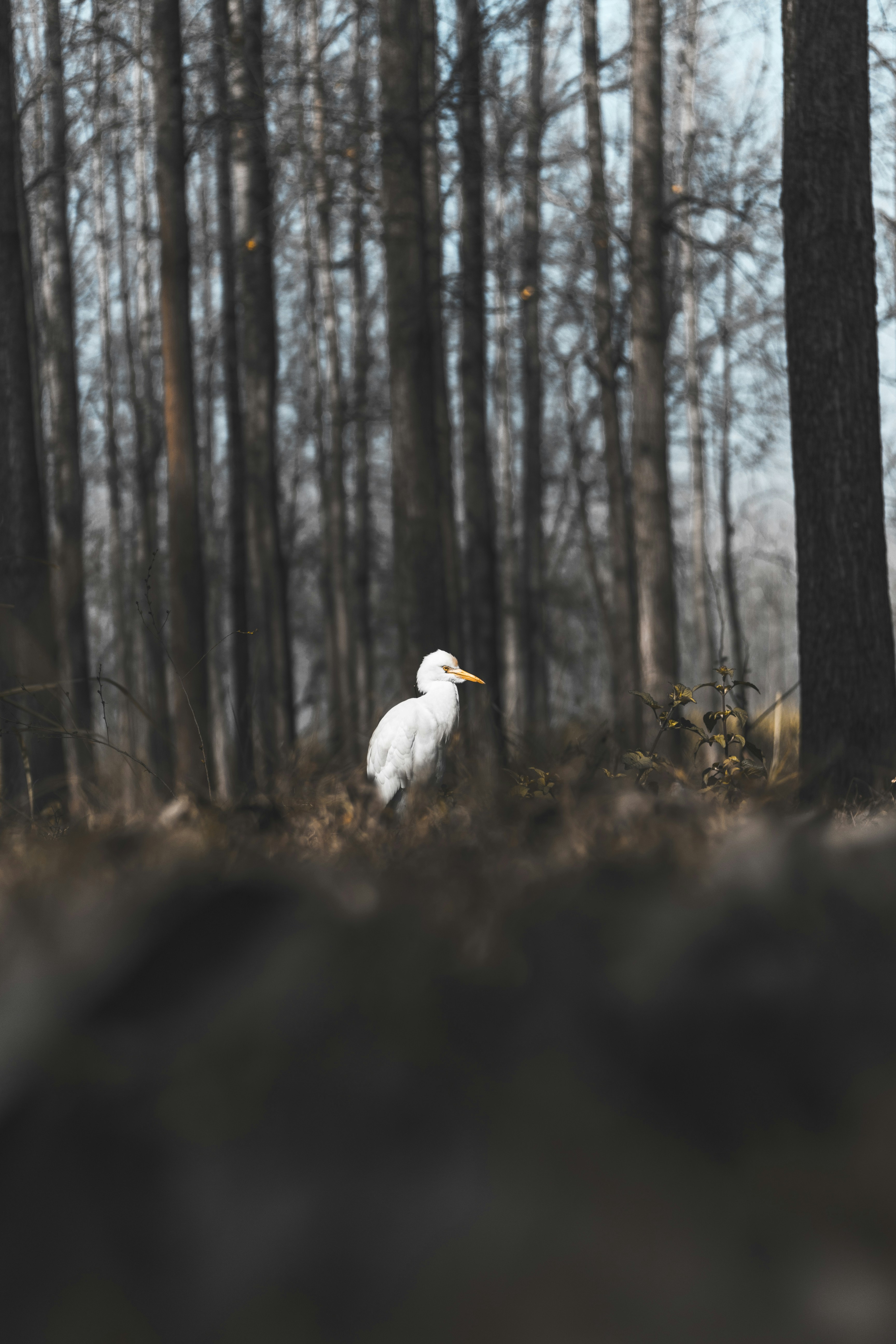 Photo by chirag22