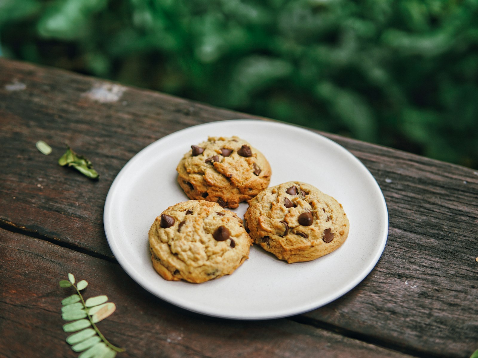 Sony a6000 + Sigma 30mm F1.4 DC DN | C sample photo. Three baked chocolate cookies photography