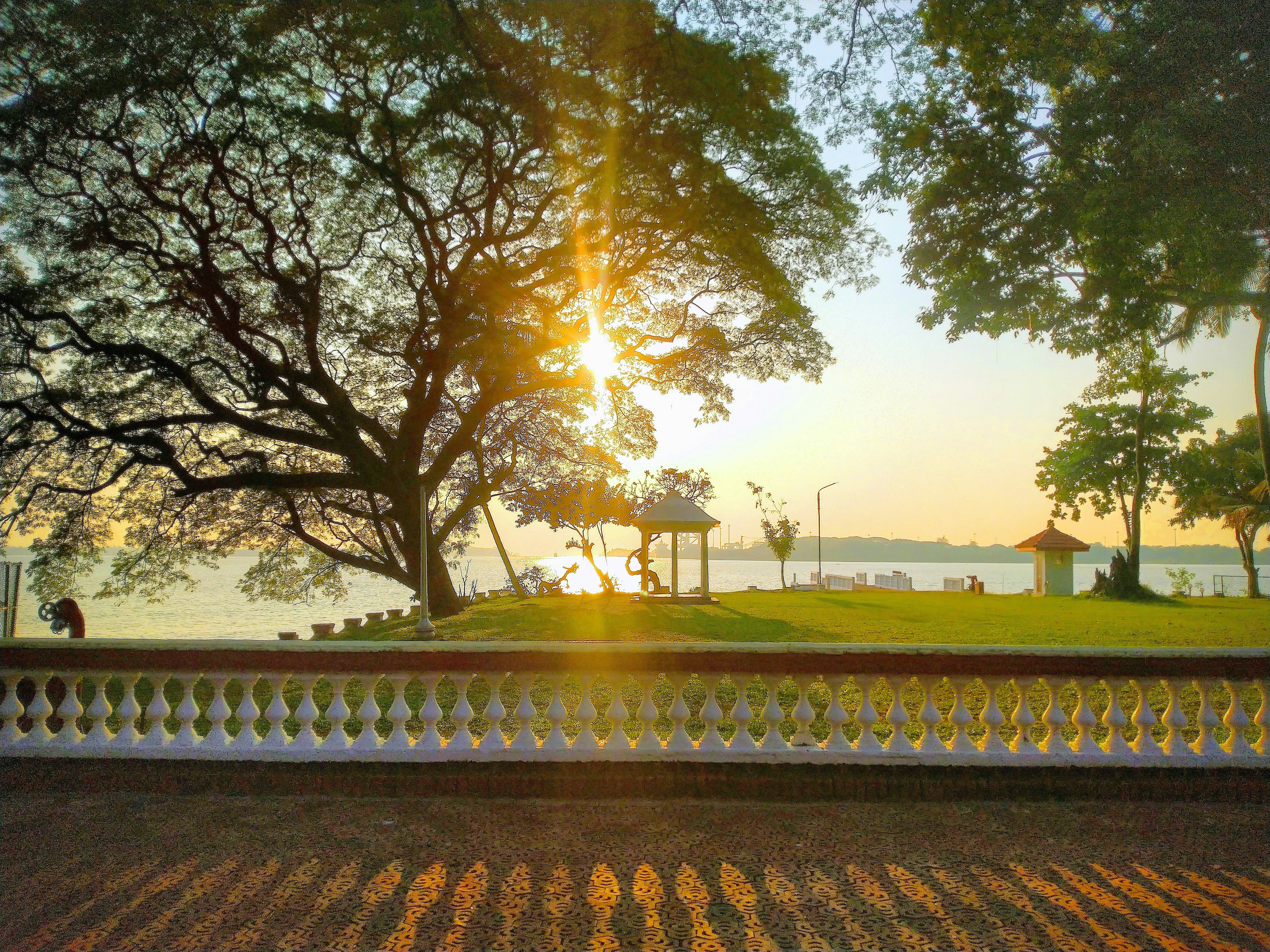 Bolgatty palace walking trail