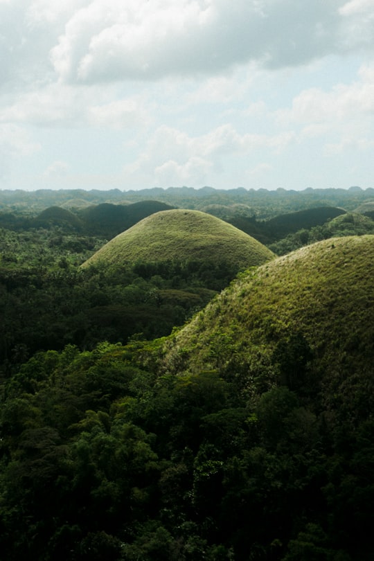 green hills in Chocolate Hills Complex Philippines