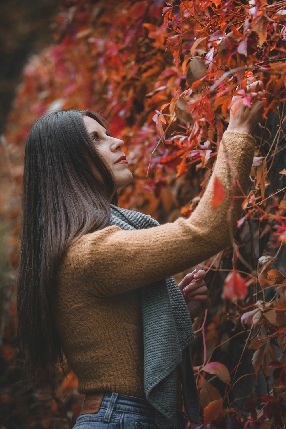 woman holding plants