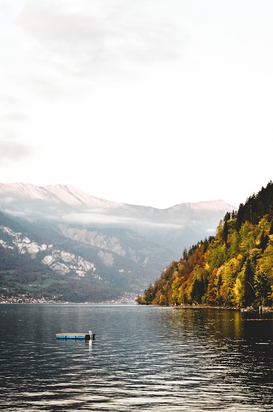 boat on body of water near island in Interlaken Switzerland