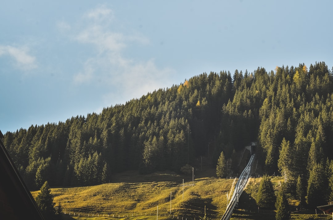 Nature reserve photo spot Lauterbrunnen Switzerland