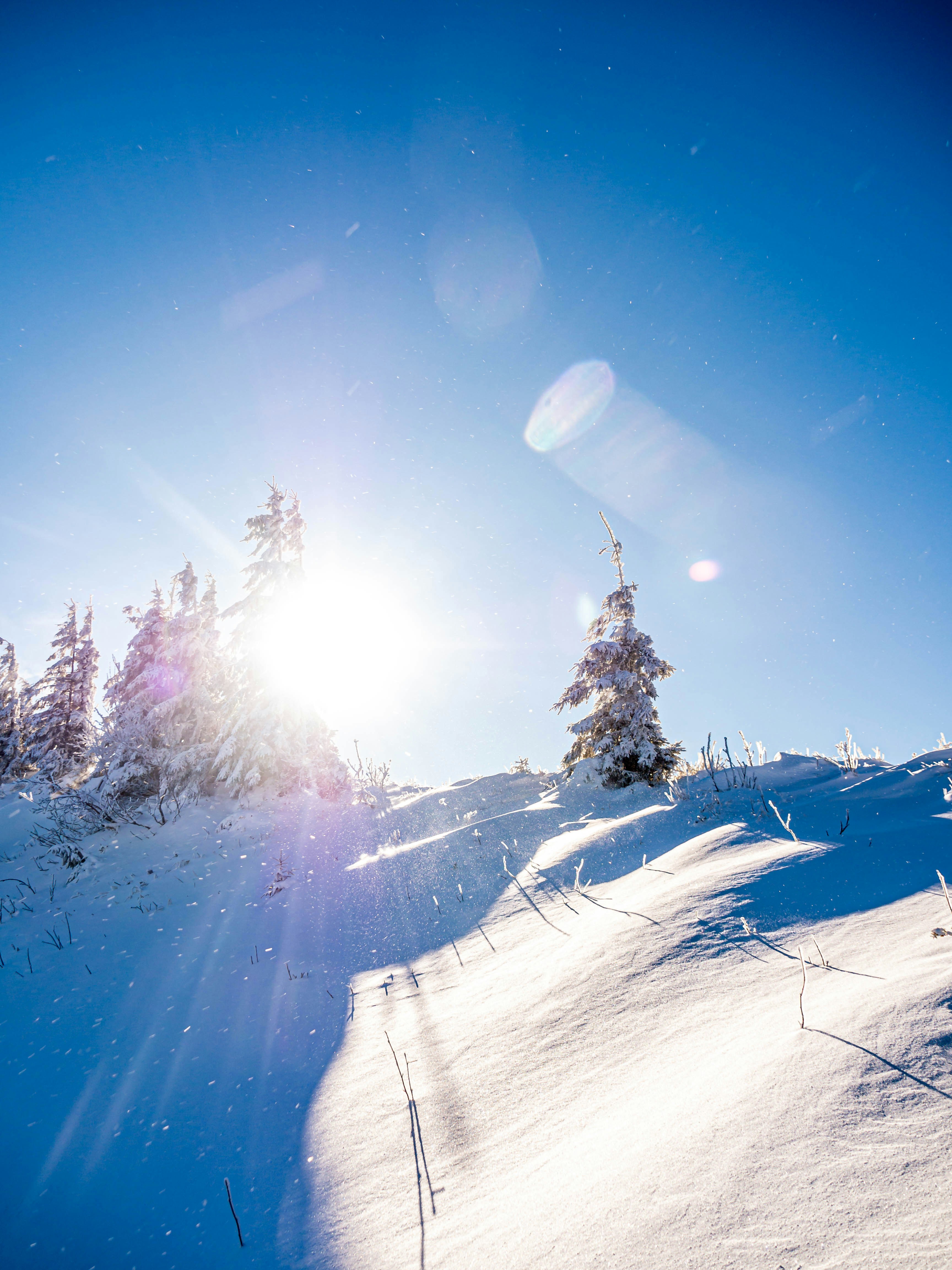 Photo by fedorchenkoalina